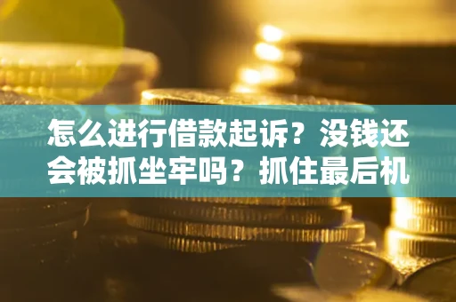 北京怎么进行借款起诉？没钱还会被抓坐牢吗？抓住最后机会！
