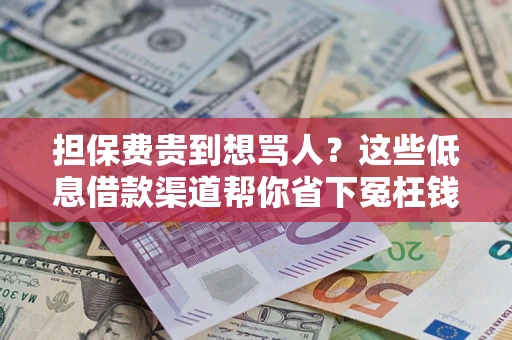 北京担保费贵到想骂人？这些低息借款渠道帮你省下冤枉钱